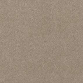 Shell Trail Swatch Thumbnail