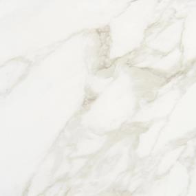 Marble Obsession Square 24X24 Pl - Arabescato Polished Swatch