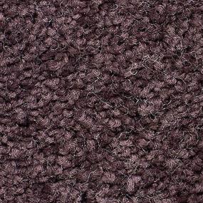 Plum Wine Zoomed Swatch