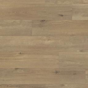 North American Oak Swatch
