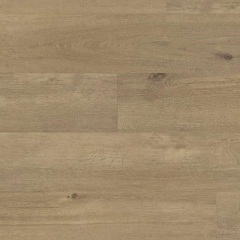 North American Oak Zoomed Swatch