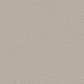 Alluring Canvas - Baltic Stone Swatch