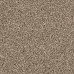 Shar-Pei Swatch Thumbnail