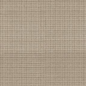 Footbridge - Split Sediment Swatch
