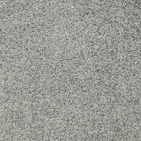 Pacific Grove - Cypress Swatch