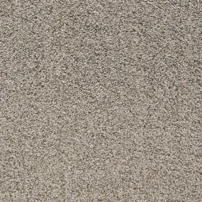 Pacific Grove - Sea Otter Swatch