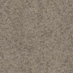 Livingston Zoomed Swatch