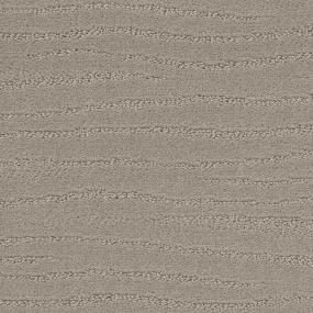 Titanium Zoomed Swatch