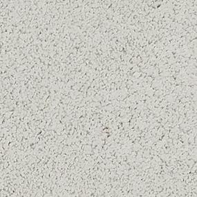 Charisma - Cashmere Swatch
