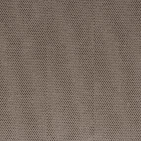 Journey Brown Swatch