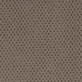 Journey Brown Zoomed Swatch