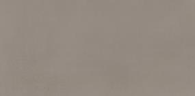 Neoconcrete Rectangle 12X24 Lp - Medium Gray Light Polished Swatch