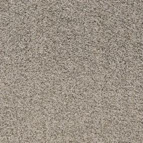 Pacific Grove - Sea Otter Swatch