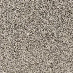 Sea Otter Zoomed Swatch