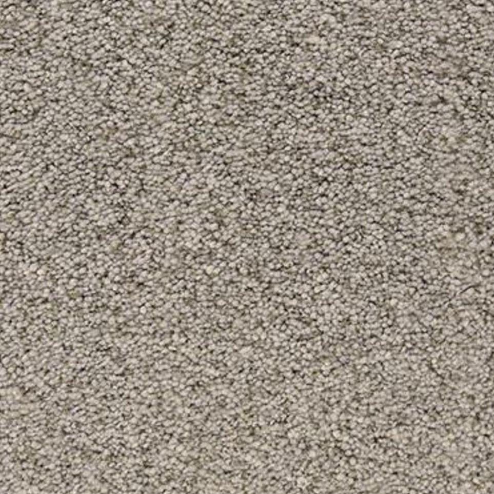 Sea Otter Zoomed Swatch