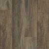Accent Oak