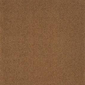 Charade - Nutmeg Swatch
