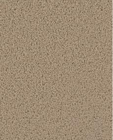 Satinwood Swatch Thumbnail