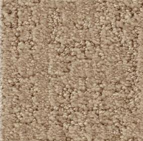 Shadow Colossal - Cider Swatch