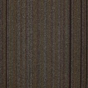 Baskon TL - Buckeye Swatch