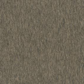 Equating 26 - Velocity Swatch