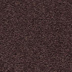 Intrigue Swatch Thumbnail