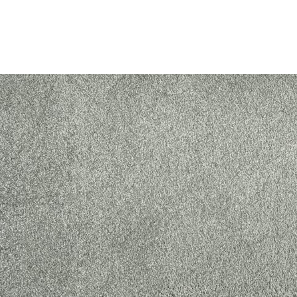 Metal Zoomed Swatch