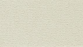 Spacious Solid - Snowdrift Swatch