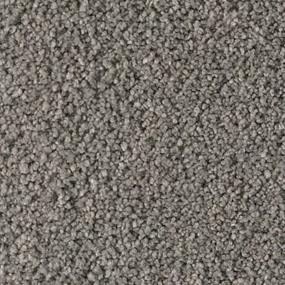 Soft Eloquence - Boardwalk Swatch