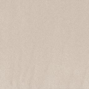 Peak View II 12' - Sheer Light Swatch