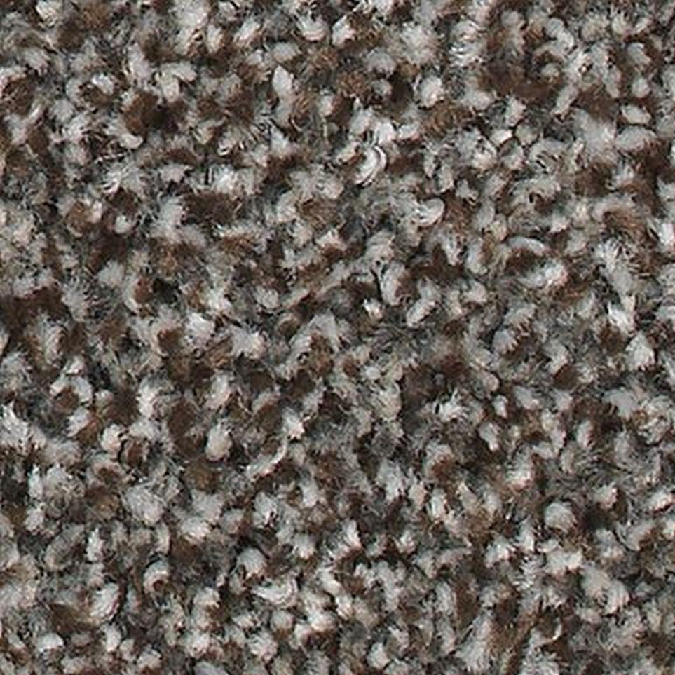Universal Umber Zoomed Swatch