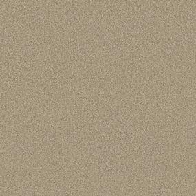 Avalon Bay - Golden Swatch