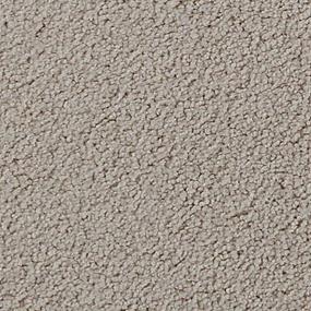 Salinas Valley I - Willow Swatch