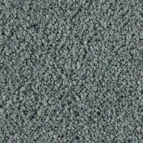 Soft Excellence - Commodore Swatch