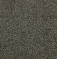 Platinum Swatch Thumbnail