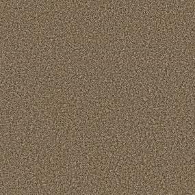 Antelope Run - Ginger Swatch