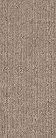 Wanderer - Plains Swatch