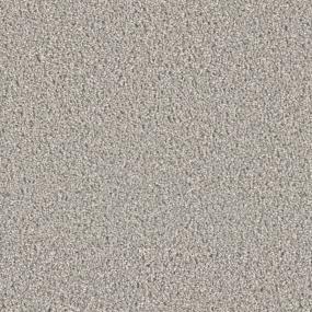 Silver Birch Zoomed Swatch