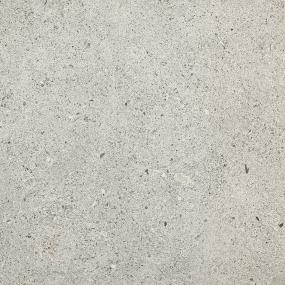 Light Gray Matte Swatch