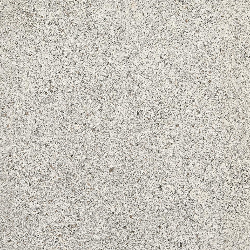 Light Gray Matte Zoomed Swatch