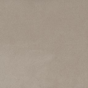 Spacious Solid - Temperate Swatch