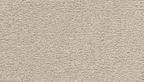 Spacious Solid - Temperate Swatch