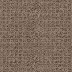 Bubble Wish - Cedar Swatch