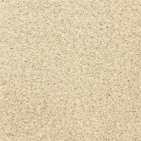 Pacific Grove - East Of Eden Swatch