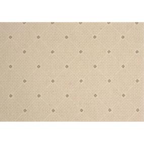 Andromeda - Shell Swatch