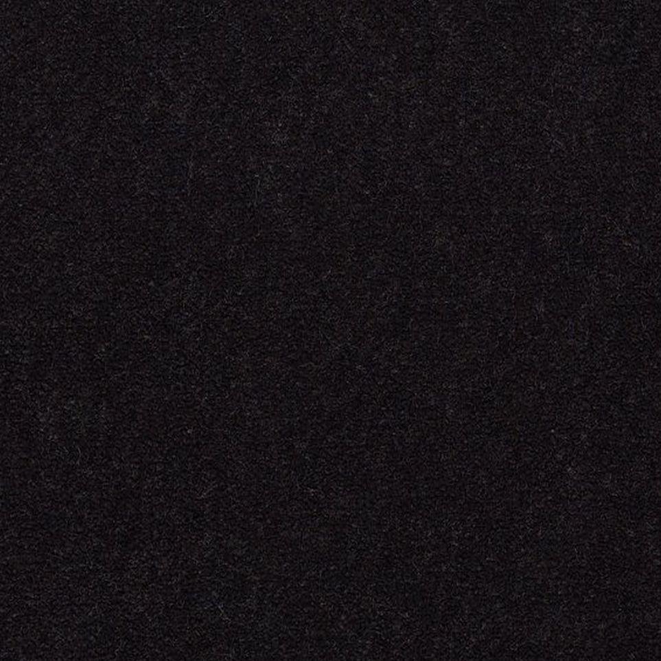 Tuxedo Zoomed Swatch