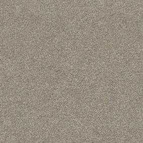 Distinguised Zoomed Swatch