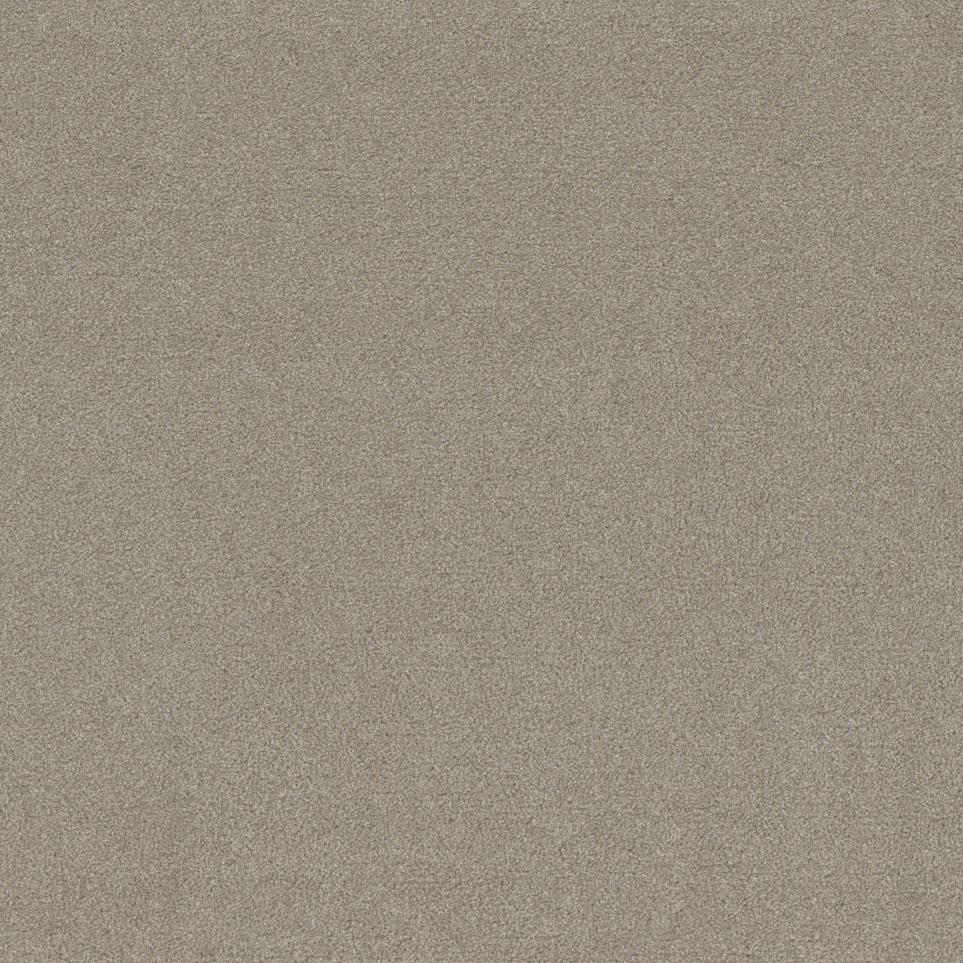 Distinguised Swatch