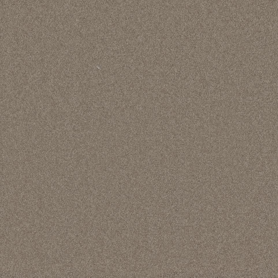 Brushed Fur Swatch