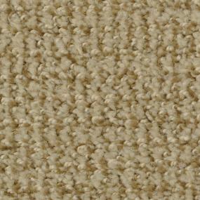 Boston Common - Dapper Tan Swatch